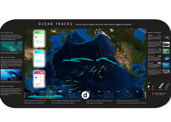 Fostering Comparisons: Designing an Interactive Exhibit that Visualizes Marine Animal Behaviors