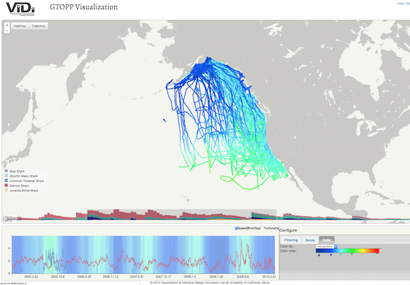 Marine animal migration visualization